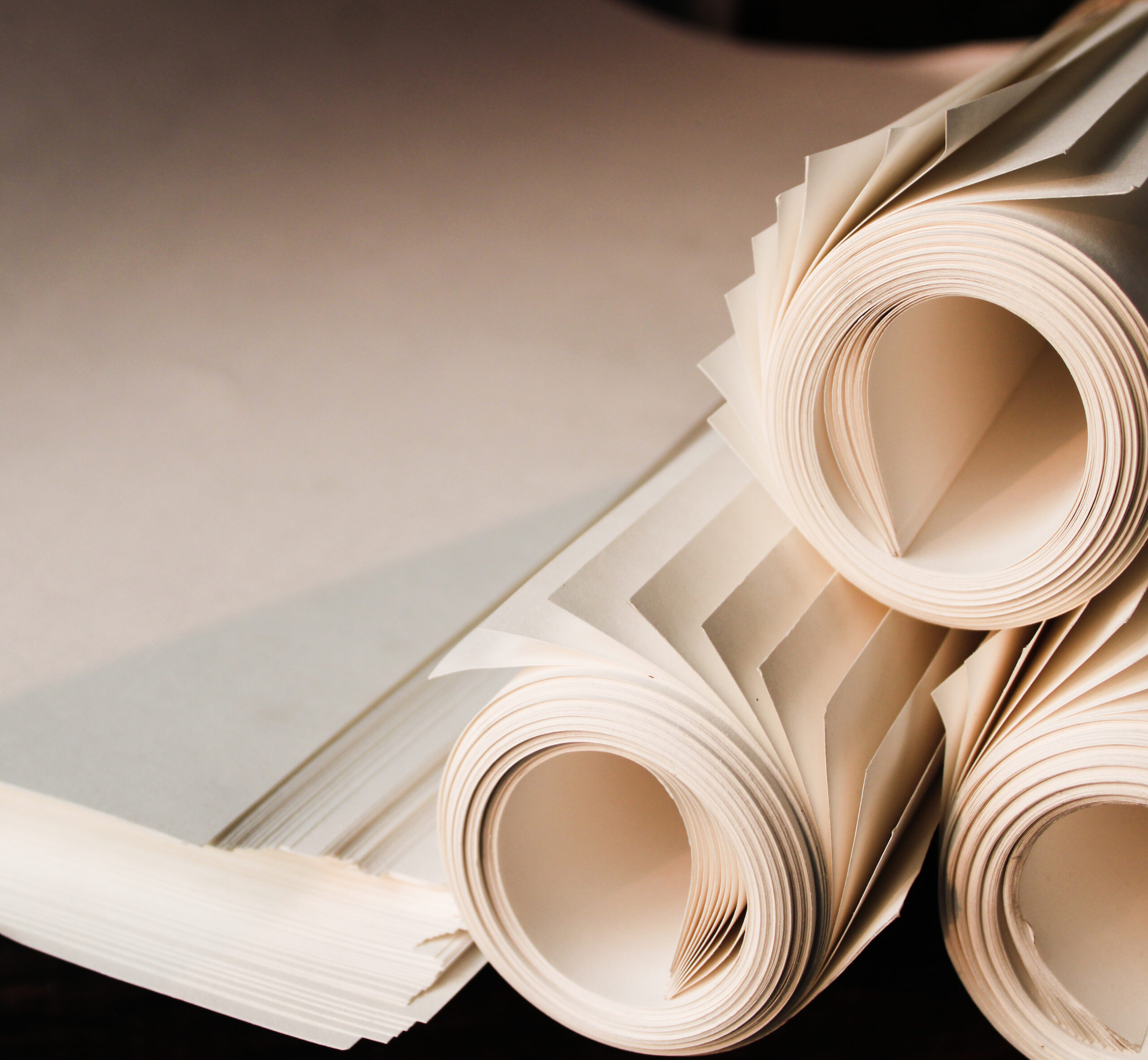 Hemp Paper Products Packaging in Manchester